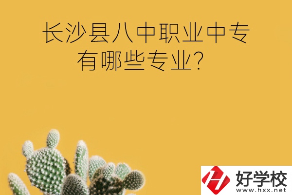 長沙縣八中職業(yè)中專好不好？有哪些專業(yè)？