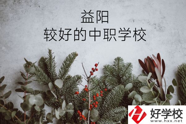益陽(yáng)有哪些中職學(xué)校比較好？
