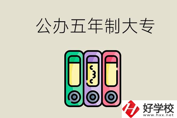 岳陽有什么公辦的五年制大專學(xué)校？讀了有用嗎？