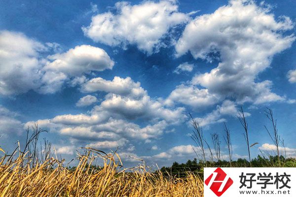 衡陽市瀟湘衛(wèi)生中等專業(yè)學(xué)校有哪些特色專業(yè)？