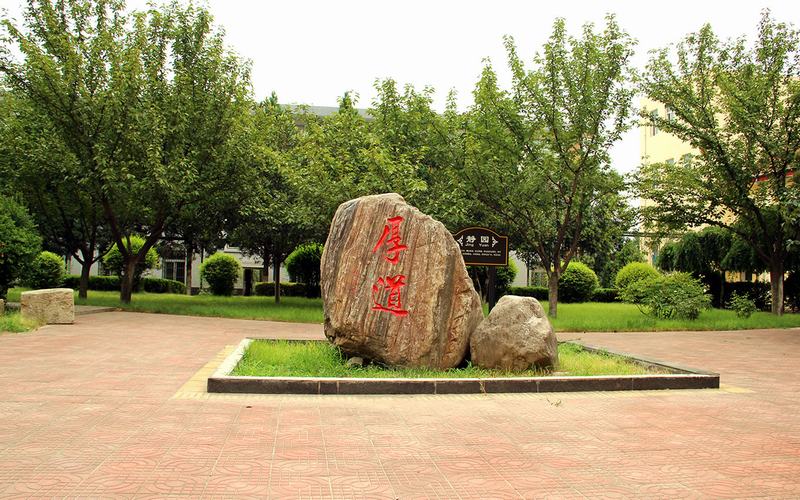 2024年菏澤家政職業(yè)學(xué)院有哪些專(zhuān)業(yè)