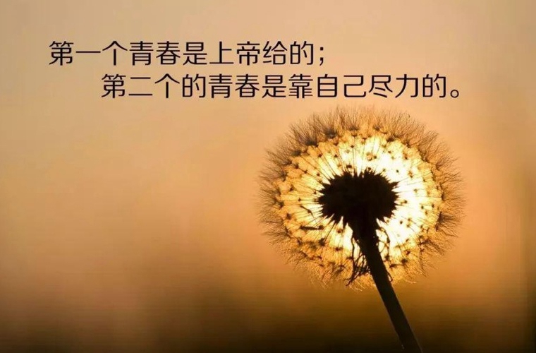 高坪區(qū)職業(yè)高級中學2024年學費多少？貴嗎？