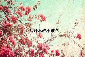 專升本難不難？