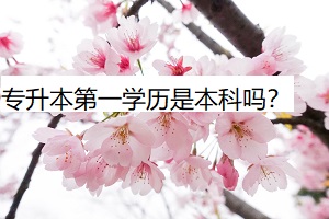 專升本第一學歷是本科嗎？